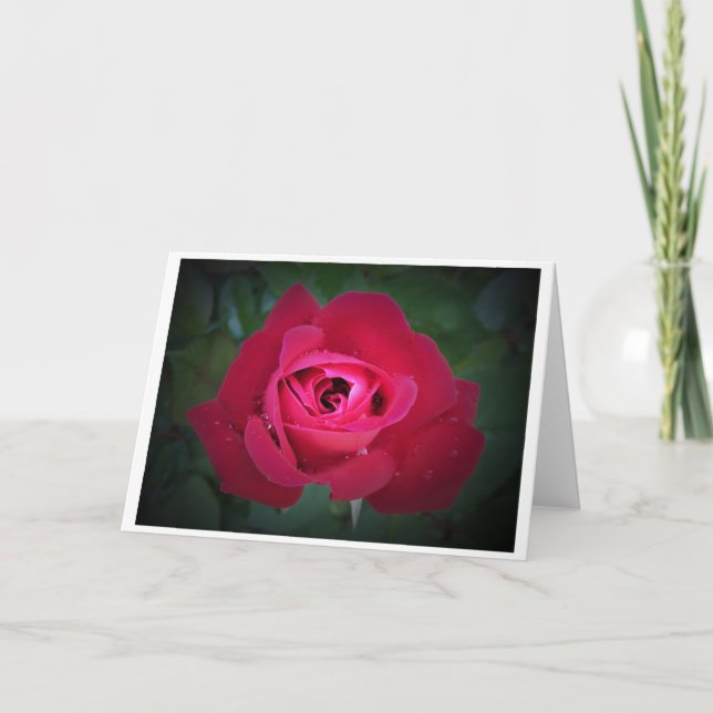 Rose, card (Front)