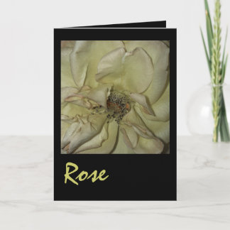 Rose Card
