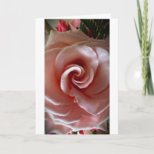 Rose, card (Front)