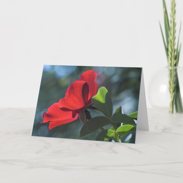 Rose Card (Front)