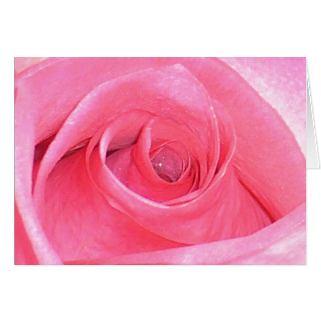 Rose Card (Front Horizontal)