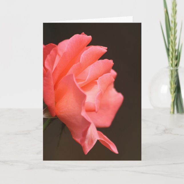 Rose Card (Front)