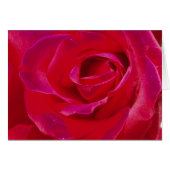 Rose Card (Front Horizontal)