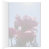 Rose card, blank, 7 cards (Inside (Right))