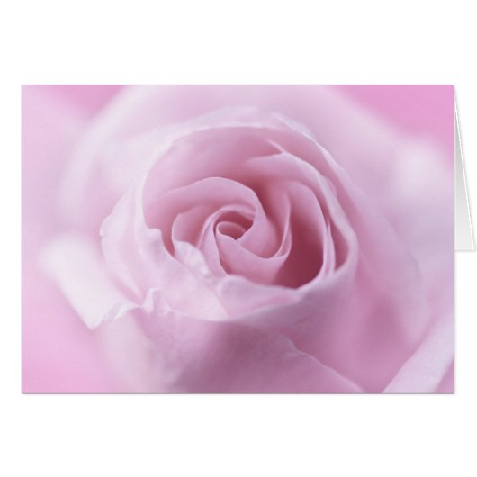 Rose Cards (Front Horizontal)