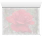 Rose Cards (Inside Horizontal (Bottom))