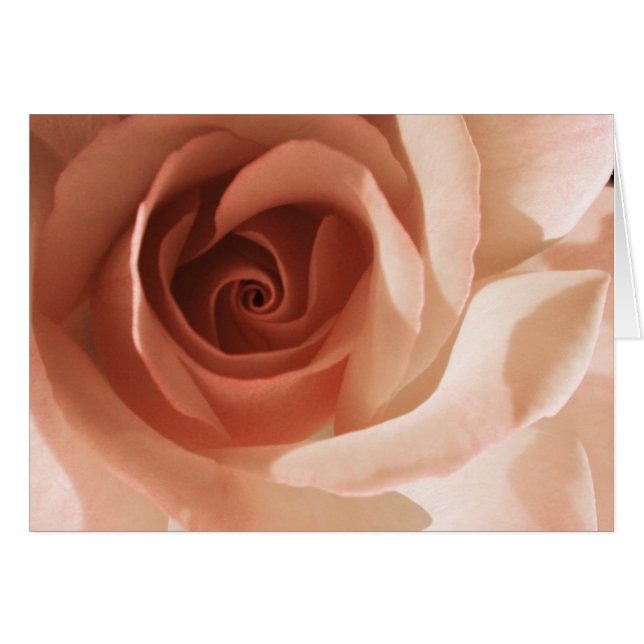 Rose Cards (Front Horizontal)