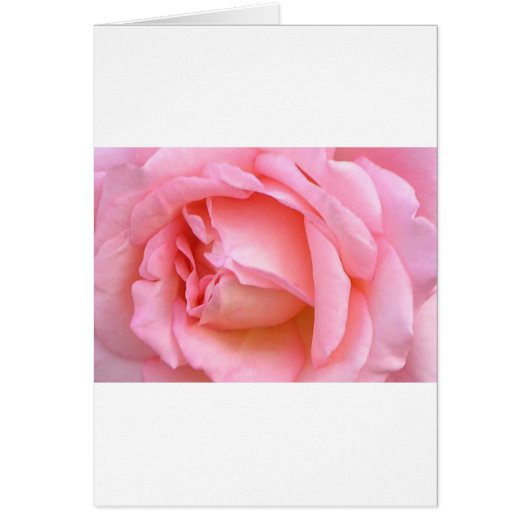 ROSE CARDS (Front)