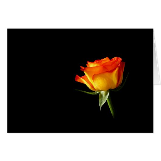 Rose Cards (Front Horizontal)