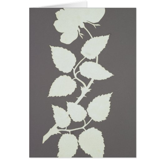 Rose Cards (Front)