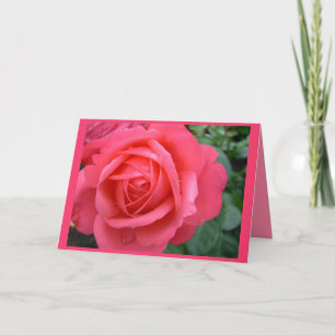 Rose Cards Pink Flowers Custom Greeting Card