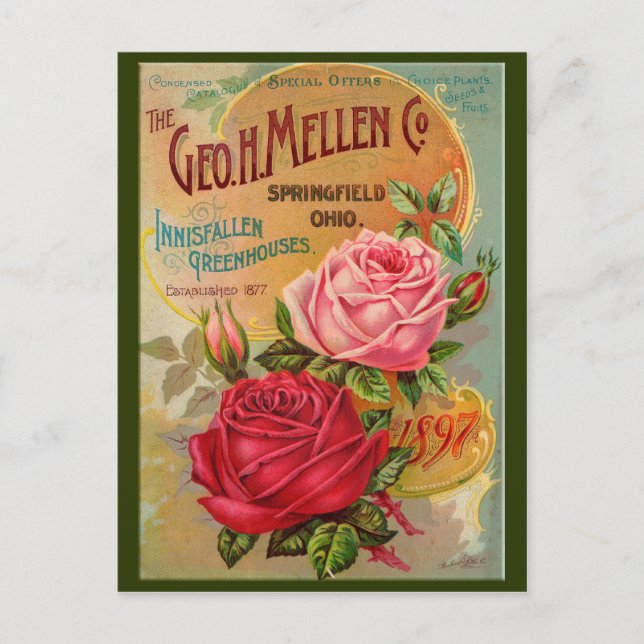 Rose Catalog Postcard (Front)