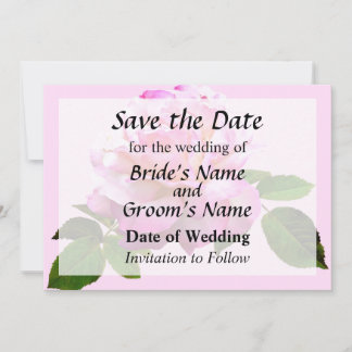 Rose Chicago Peace Save the Date