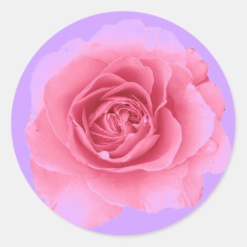 Rose Classic Round Sticker by ggbythebay at Zazzle