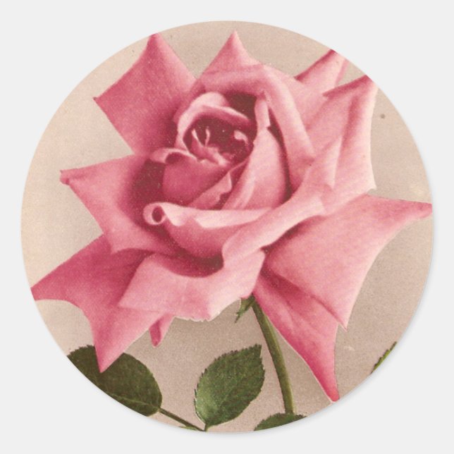 Rose Classic Round Sticker (Front)