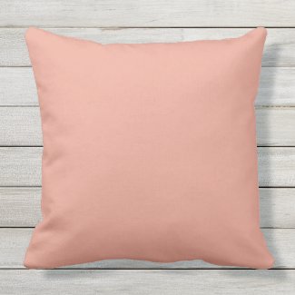 Rose Clay Color Matched Outdoor Pillow