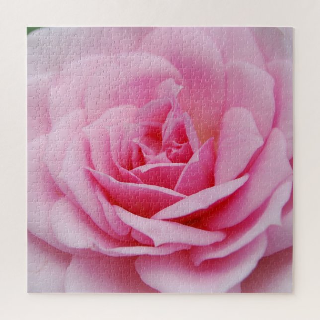 Rose | Closeup Photography Jigsaw Puzzle (Vertical)