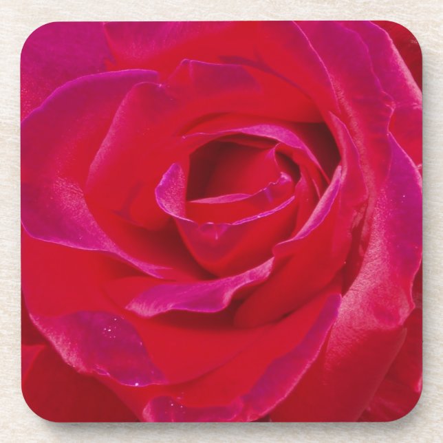 Rose Coasters (Front)