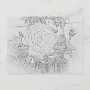 Rose Coloring Sheet Postcard