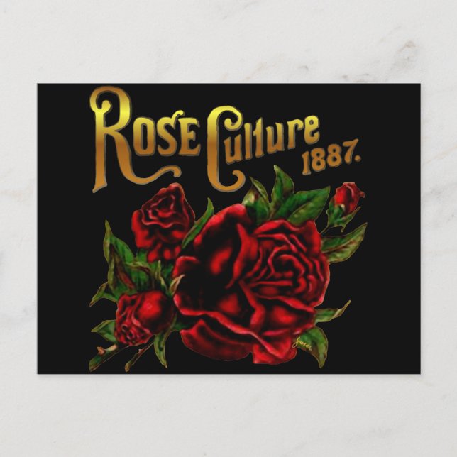 Rose Culture 1887 Postcard (Front)