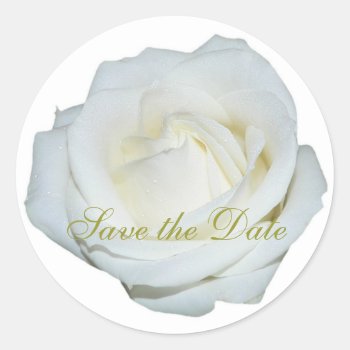 Rose Custom Floral Sticker by EveStock at Zazzle