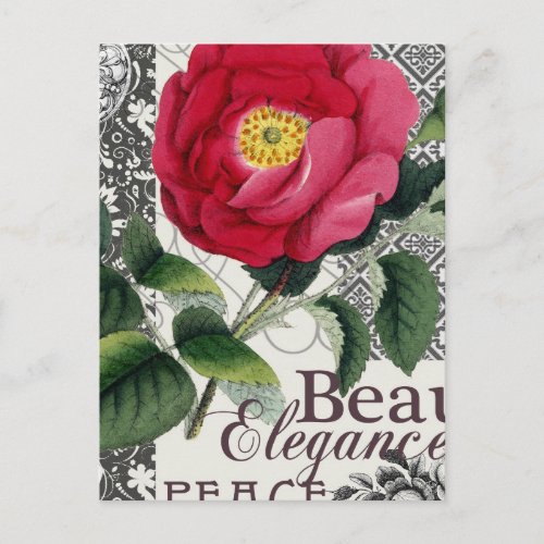 Rose Damask Pretty Floral Antique Postcard