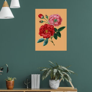Rose De Provins vintage flowers Home decor gifts