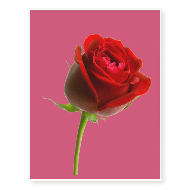rose design temporary tattoos (Front)