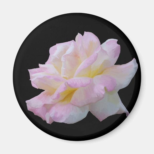 Rose digital drawing magnet (Front)