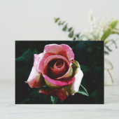 rose drawing (Standing Front)