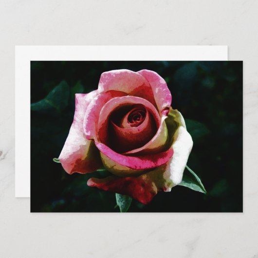 rose drawing (Front/Back)