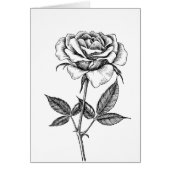 Rose drawing (Front)