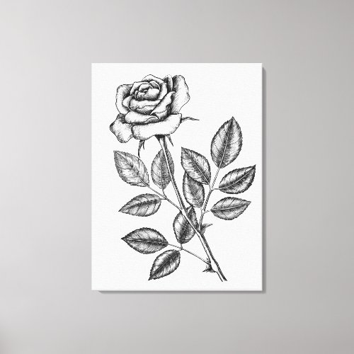 Rose drawing 2 canvas print