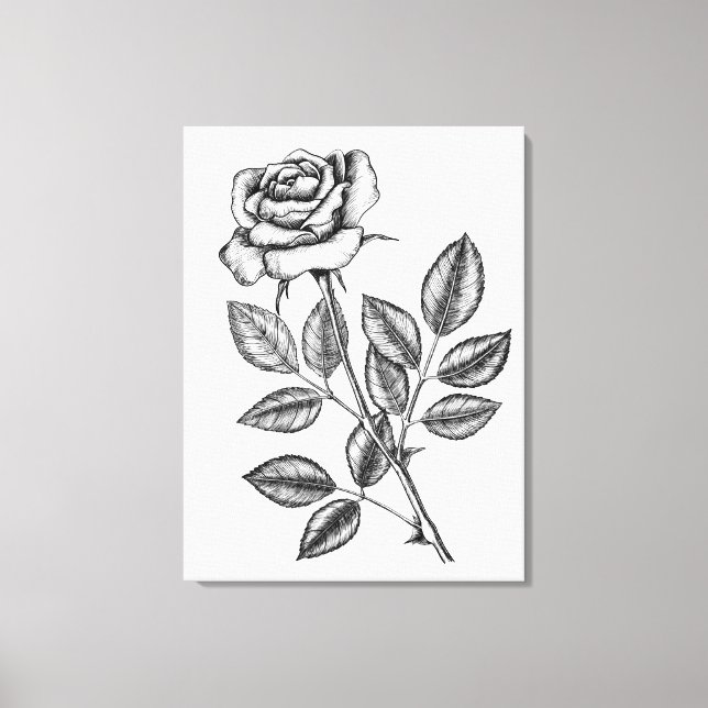 Rose drawing 2 canvas print (Front)
