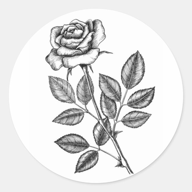 Rose drawing 2 classic round sticker (Front)