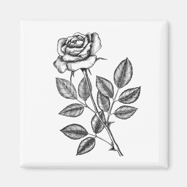 Rose drawing 2 magnet (Front)