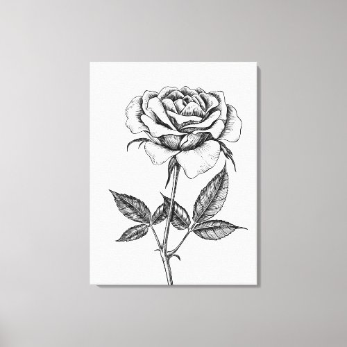 Rose drawing canvas print