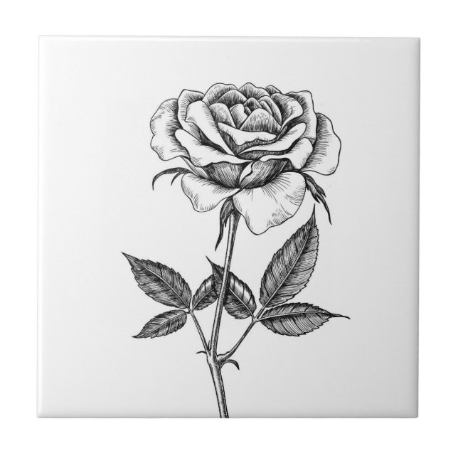 Rose drawing ceramic tile (Front)