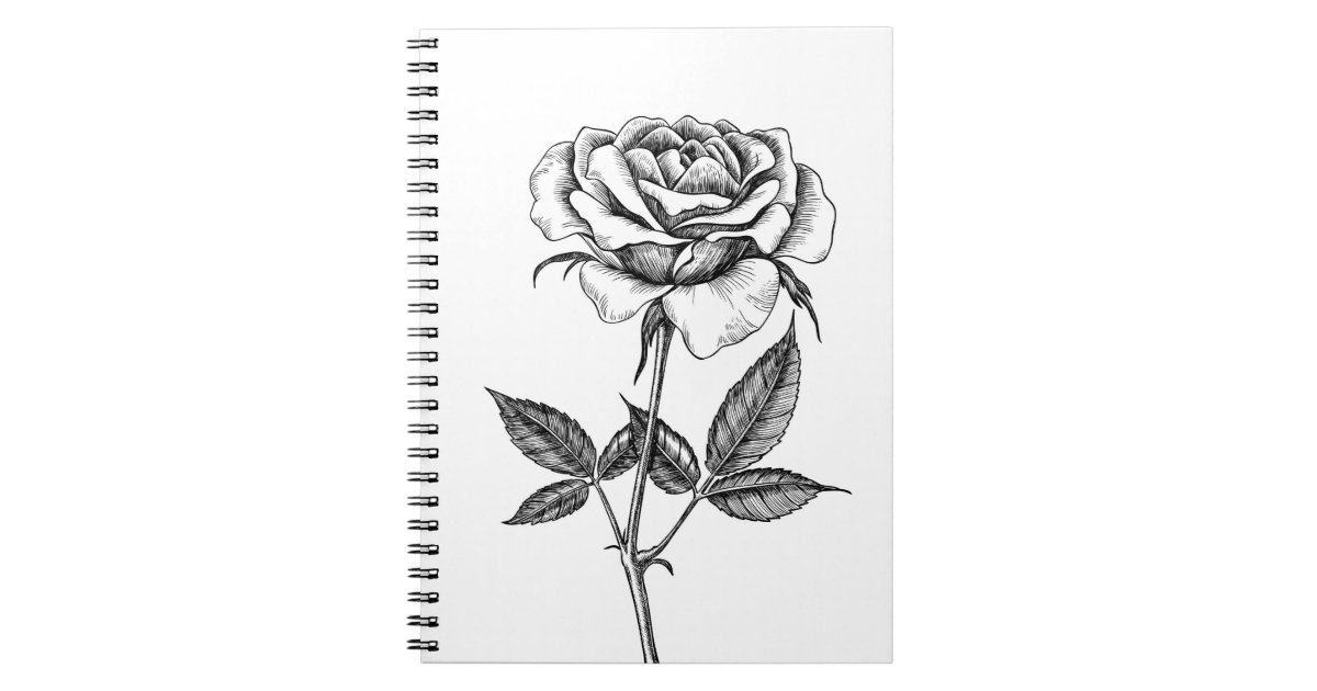 Rose drawing notebook | Zazzle