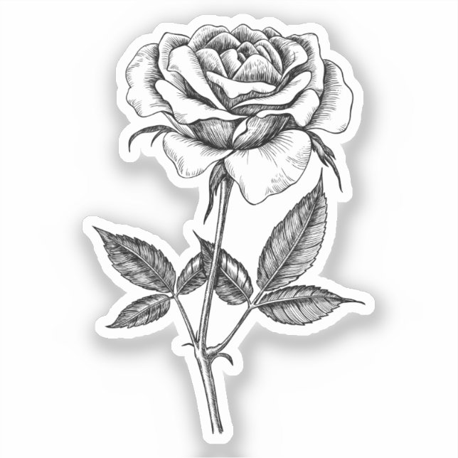 Rose drawing sticker (Front)