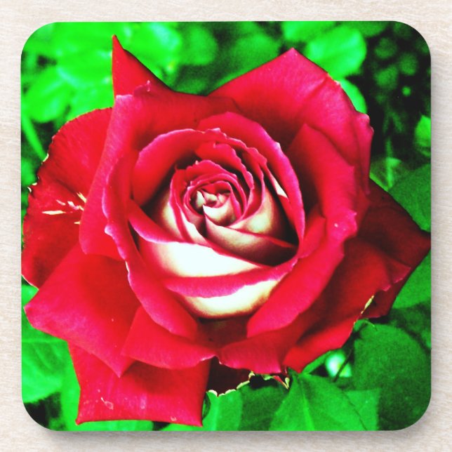 Rose Drink Coaster (Front)