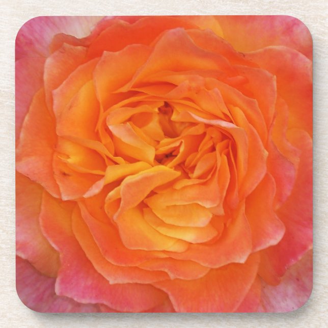 Rose Drink Coaster (Front)