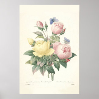Rose du Bengale Canvas Print