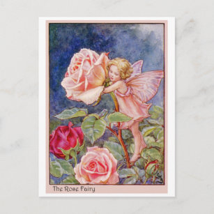 Rose Fairy Postcard