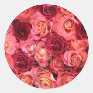 ROSE FIELD ,bright vibrant  red  pink Classic Round Sticker