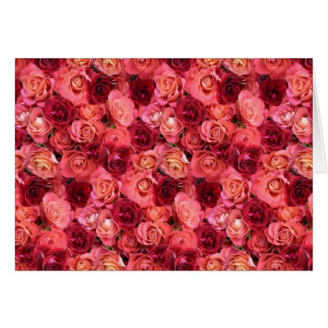 ROSE FIELD CARDS (Front Horizontal)