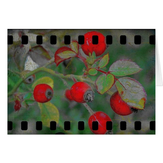 Rose Film 2 Cards (Front Horizontal)