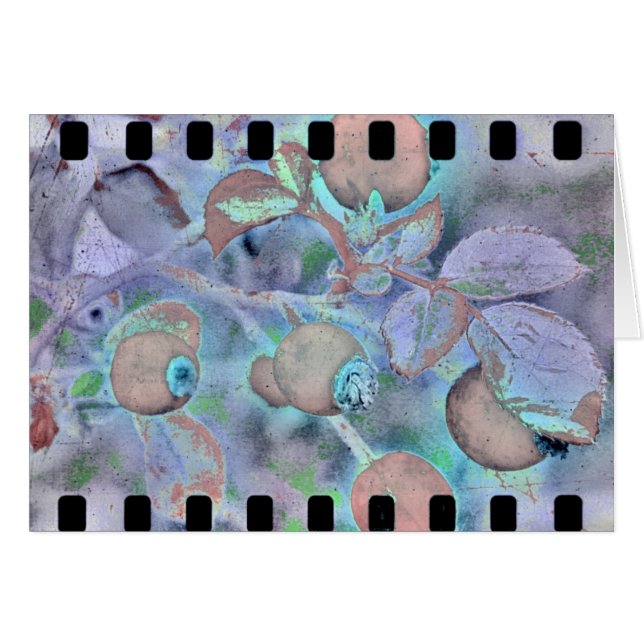 Rose Film 3 Cards (Front Horizontal)