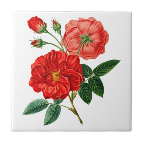 Rose flower Ceramic Tile