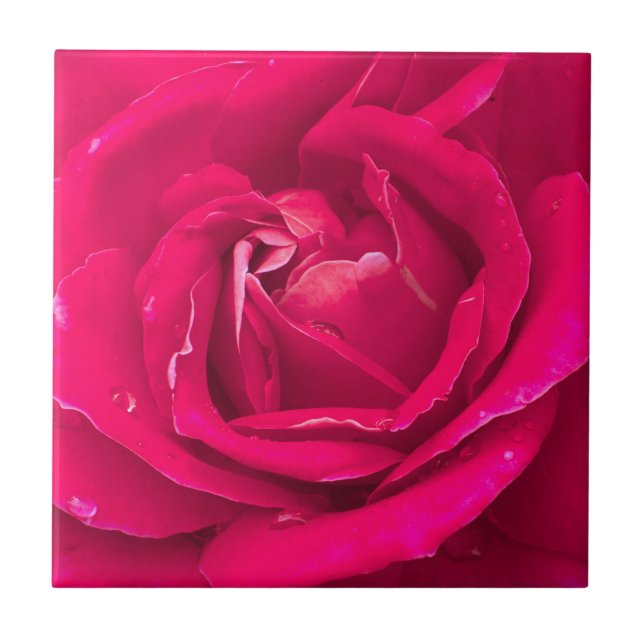 Rose flower ceramic tile (Front)